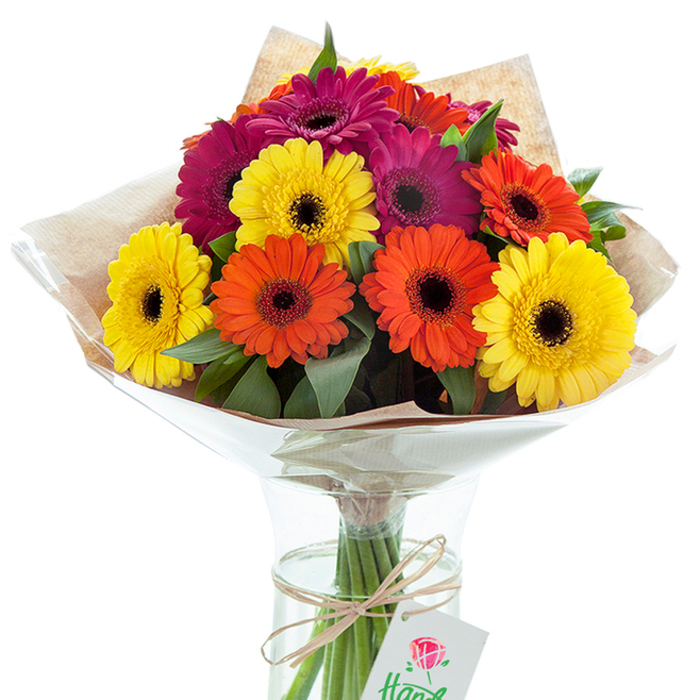 Poised against a crisp white backdrop, this hand-tied bouquet of Gerbera daisies captures the dynamic, welcoming energy of Homerton. Approximately a dozen large blossoms, in an exuberant mix of sunny yellow, vibrant orange, and rich fuchsia hues, cluster together within a clear, elegantly shaped glass vase. Each Gerbera features a deep, near-black center, providing a bold visual counterpoint to its jewel-toned petals. Interspersed emerald leaves and sprigs evoke the calm greenery of nearby Mabley Green, their textures creating a vibrant sense of depth. An outer layer of rustic, tan kraft paper wraps the upper bouquet, encased by a glossy cellophane wrap that gently flares above the blooms. Below, the stems are immersed in clear water visible through the vase's classic hourglass form, ensuring lasting freshness. Around the gathered stems, a fine twine is tied in a neat bow, from which hangs a minimalist white gift tag marked by a small, stylized red rose and partial script, indicative of a handmade gift from a local florist. The entire composition radiates happiness, warmth, and care-an ideal floral centerpiece for celebrating birthdays, expressing gratitude, or bringing the spirit of Homerton's creative community into the home. Its presentation conveys a story of thoughtful delivery and artisan pride that's synonymous with East London's finest flower shops.