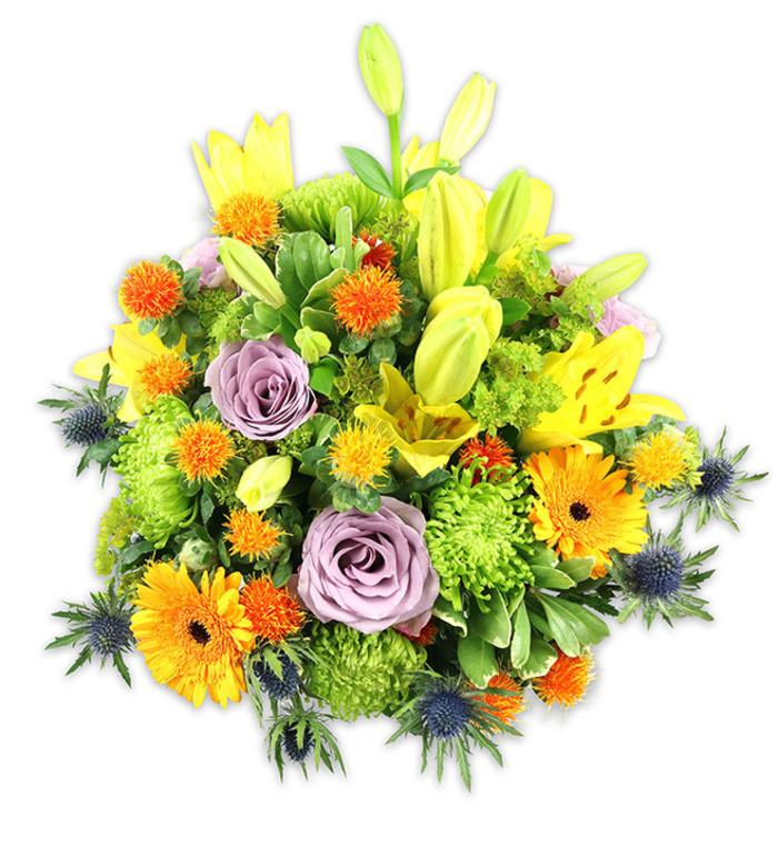 A richly textured, densely arranged bouquet set against a stark white background, rendered with the assurance of a neighbourhood florist who knows the seasons and local tastes around Homerton, Hackney. The composition is built around luminous yellow Asiatic lilies - some unfolded, their speckled throats exposed, others closed as elegant chartreuse buds that lift the eye. Two or three pale lavender roses sit slightly recessed toward the centre, their soft petals curling in classic spirals and tempering the more extroverted orange and yellow tones. Bold orange Gerbera daisies provide broad, sunflower-like faces, while abundant lime-green cushion or button chrysanthemums create plush, almost textile-like masses that soften transitions between blooms. Tiny globes of bright orange and golden yellow (reminiscent of Billy Buttons or small thistle accents) scatter through the bouquet like confetti, bringing movement and lightness. Deep indigo-blue Eryngium thistles project from the lower and side margins; their steel-blue, spiky bracts supply a cool, architectural counterpoint that sharpens the arrangement's silhouette. Interlaced foliage - from wide lily leaves to smaller glossed fillers - frames and deepens the visual field, offering breathing space and natural rhythm. In soft, even lighting the petals show subtle gradients of shade and texture, and the overall scent would read as a mild, green floral blend rather than overpowering. This arrangement conveys cheer and comfort in equal measure, suitable as a celebratory centrepiece for a Homerton flat, a thoughtful get-well gift for someone at Homerton University Hospital, or a bright welcome on a Well Street Market table.